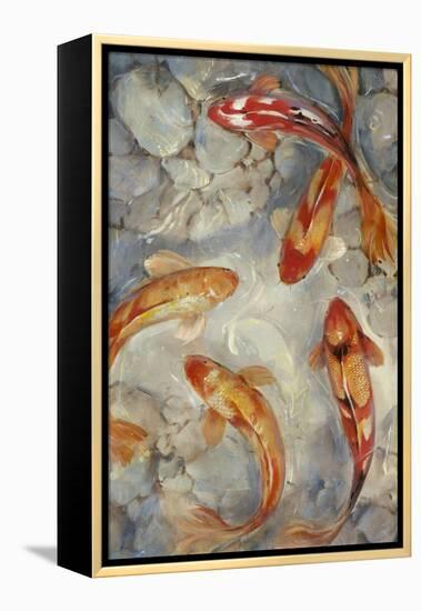 Vibrant Koi II-Tim O'toole-Framed Stretched Canvas