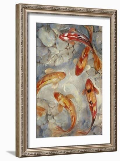 Vibrant Koi II-Tim O'toole-Framed Art Print