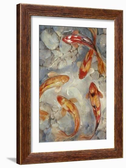 Vibrant Koi II-Tim O'toole-Framed Art Print