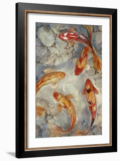 Vibrant Koi II-Tim O'toole-Framed Art Print