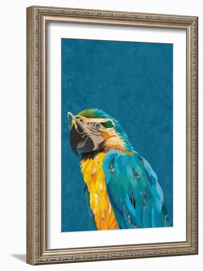 Vibrant macaw wearing glasses-Sarah Manovski-Framed Giclee Print