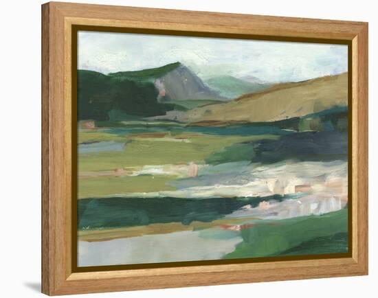 Vibrant Mountain Study II-Ethan Harper-Framed Stretched Canvas