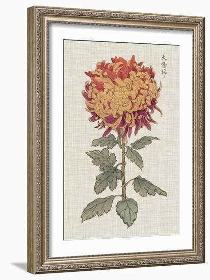 Vibrant Mums III-Vision Studio-Framed Art Print