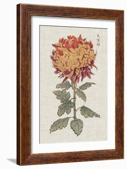 Vibrant Mums III-Vision Studio-Framed Art Print