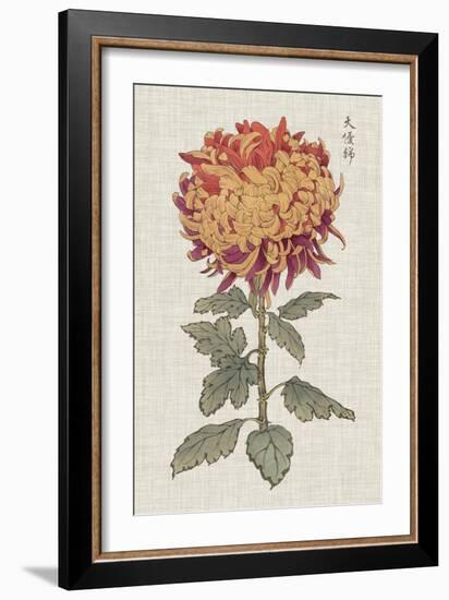 Vibrant Mums III-Vision Studio-Framed Art Print