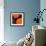 Vibrant orange floral-Yashna-Framed Art Print displayed on a wall