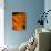 Vibrant Orange-Doug Chinnery-Photographic Print displayed on a wall