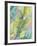 Vibrant Palm Leaves II-Jennifer Goldberger-Framed Art Print