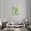 Vibrant Palm Leaves II-Jennifer Goldberger-Framed Premium Giclee Print displayed on a wall