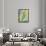 Vibrant Palm Leaves II-Jennifer Goldberger-Framed Premium Giclee Print displayed on a wall