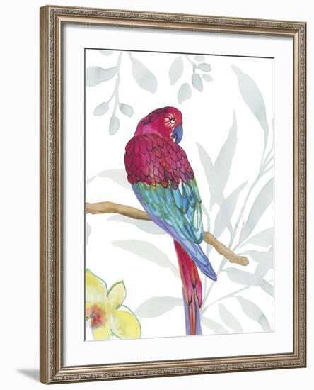 Vibrant Parrot-Sandra Jacobs-Framed Giclee Print