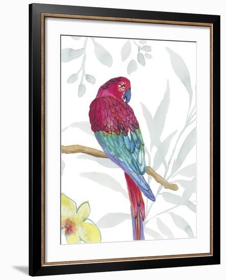 Vibrant Parrot-Sandra Jacobs-Framed Giclee Print