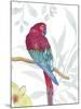 Vibrant Parrot-Sandra Jacobs-Mounted Giclee Print