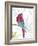 Vibrant Parrot-Sandra Jacobs-Framed Art Print