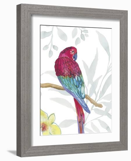 Vibrant Parrot-Sandra Jacobs-Framed Art Print