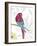 Vibrant Parrot-Sandra Jacobs-Framed Art Print