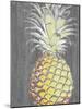 Vibrant Pineapple Splendor II-Studio W-Mounted Art Print