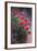 Vibrant Poppies-li bo-Framed Art Print