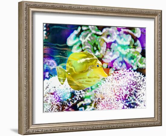 Vibrant Reef II-Eva Bane-Framed Photographic Print