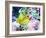 Vibrant Reef II-Eva Bane-Framed Photographic Print