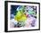 Vibrant Reef II-Eva Bane-Framed Photographic Print