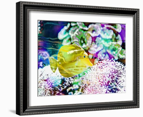 Vibrant Reef II-Eva Bane-Framed Photographic Print