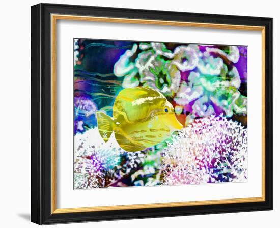 Vibrant Reef II-Eva Bane-Framed Photographic Print