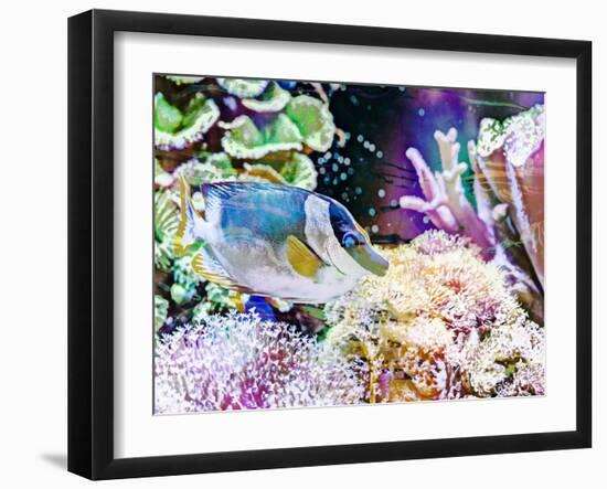Vibrant Reef III-Eva Bane-Framed Photographic Print
