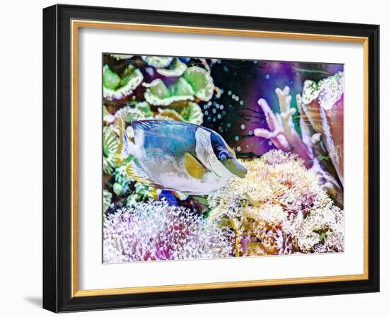 Vibrant Reef III-Eva Bane-Framed Photographic Print