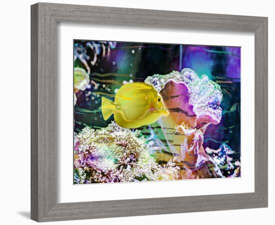 Vibrant Reef IV-Eva Bane-Framed Photographic Print