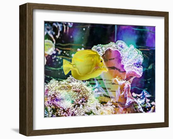 Vibrant Reef IV-Eva Bane-Framed Photographic Print