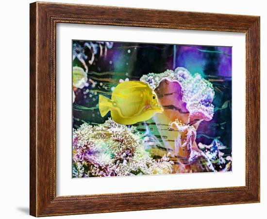 Vibrant Reef IV-Eva Bane-Framed Photographic Print