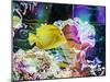 Vibrant Reef IV-Eva Bane-Mounted Photographic Print