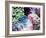 Vibrant Reef VI-Eva Bane-Framed Photographic Print