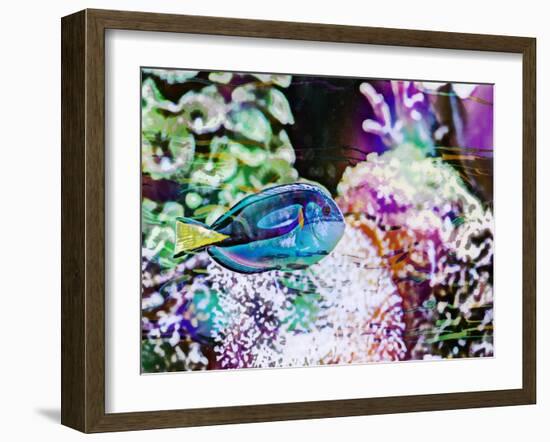 Vibrant Reef VI-Eva Bane-Framed Photographic Print