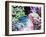 Vibrant Reef VI-Eva Bane-Framed Photographic Print