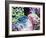 Vibrant Reef VI-Eva Bane-Framed Photographic Print