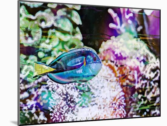 Vibrant Reef VI-Eva Bane-Mounted Photographic Print