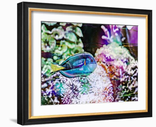 Vibrant Reef VI-Eva Bane-Framed Photographic Print