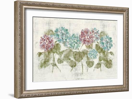 Vibrant Row of Hydrangea No Border-Cheri Blum-Framed Art Print