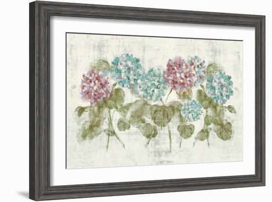 Vibrant Row of Hydrangea No Border-Cheri Blum-Framed Art Print