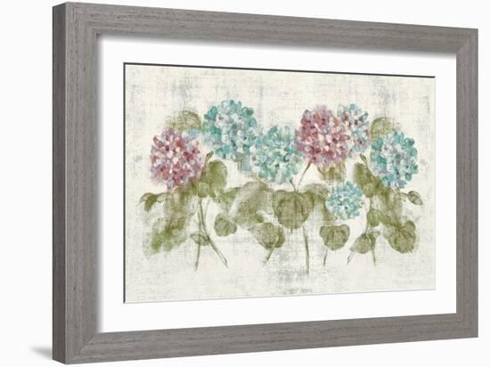 Vibrant Row of Hydrangea No Border-Cheri Blum-Framed Art Print