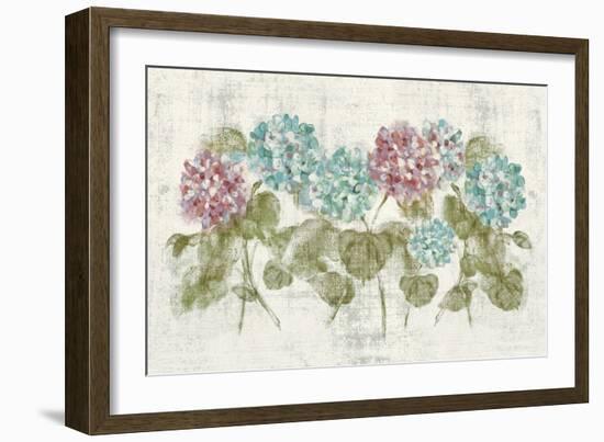 Vibrant Row of Hydrangea No Border-Cheri Blum-Framed Art Print