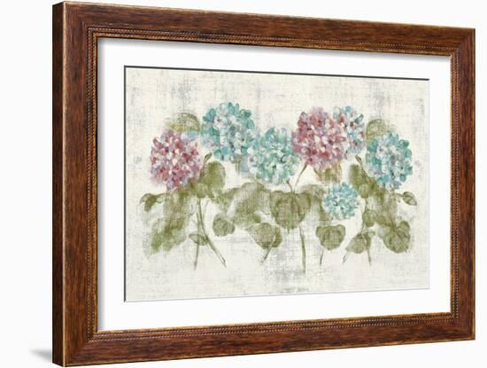 Vibrant Row of Hydrangea No Border-Cheri Blum-Framed Art Print