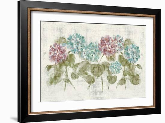 Vibrant Row of Hydrangea No Border-Cheri Blum-Framed Art Print