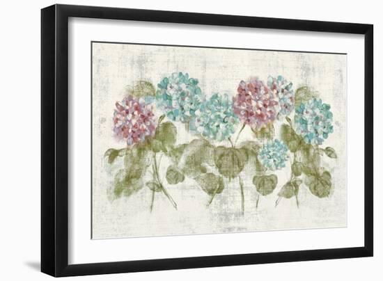 Vibrant Row of Hydrangea No Border-Cheri Blum-Framed Art Print