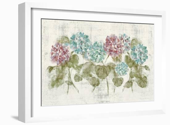 Vibrant Row of Hydrangea No Border-Cheri Blum-Framed Art Print