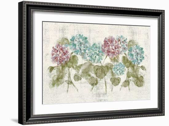 Vibrant Row of Hydrangea No Border-Cheri Blum-Framed Art Print