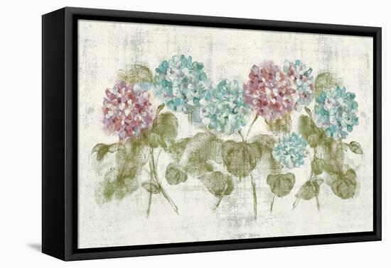 Vibrant Row of Hydrangea No Border-Cheri Blum-Framed Stretched Canvas