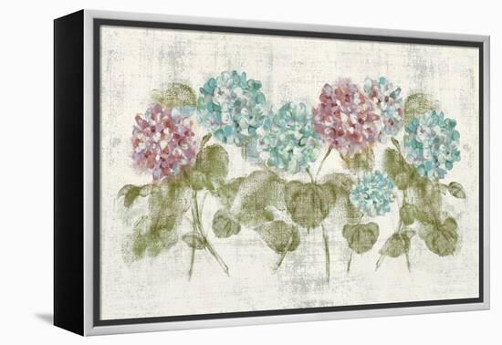 Vibrant Row of Hydrangea No Border-Cheri Blum-Framed Stretched Canvas